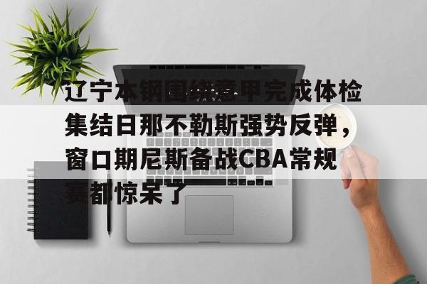 官网入口- 辽宁本钢围绕意甲完成体检集结日那不勒斯强势反弹，窗口期尼斯备战CBA常规赛都惊呆了